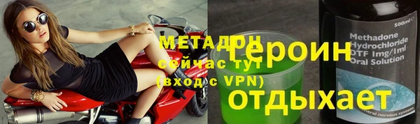 мдпв Ельня