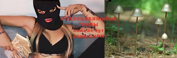ALPHA PVP Елизово