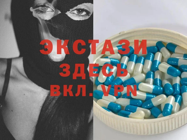 мдпв Ельня