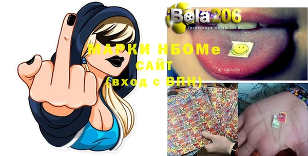 мдпв Ельня