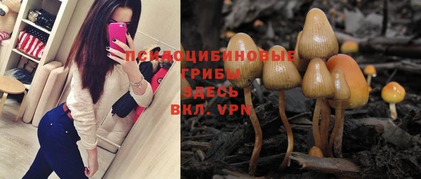 ALPHA PVP Елизово