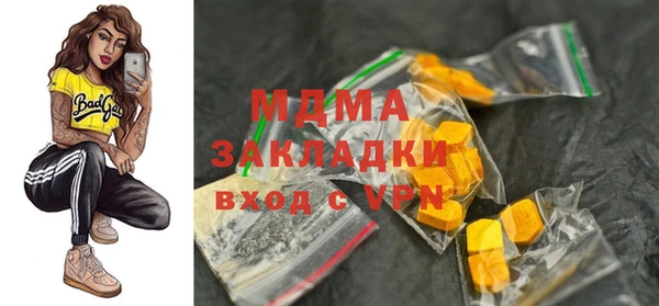 мдпв Ельня