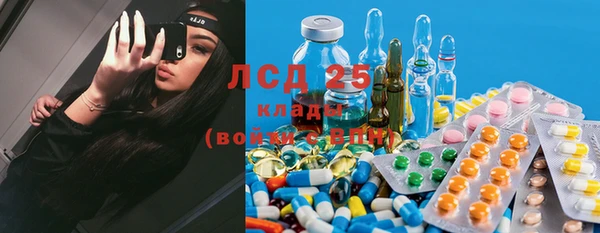 мдпв Ельня