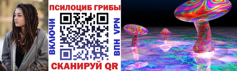 Галлюциногенные грибы мицелий где можно купить Лукоянов